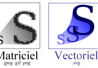 Bitmap image and vector image