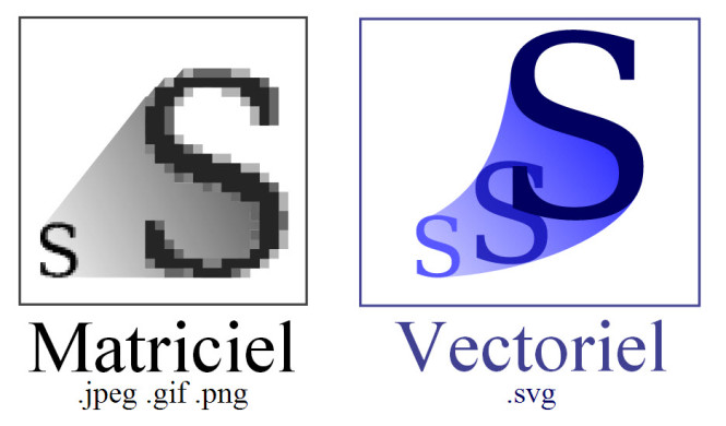 Bitmap image and vector image