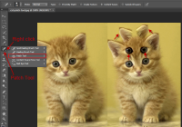 How to use patch tool in photoshop cs6