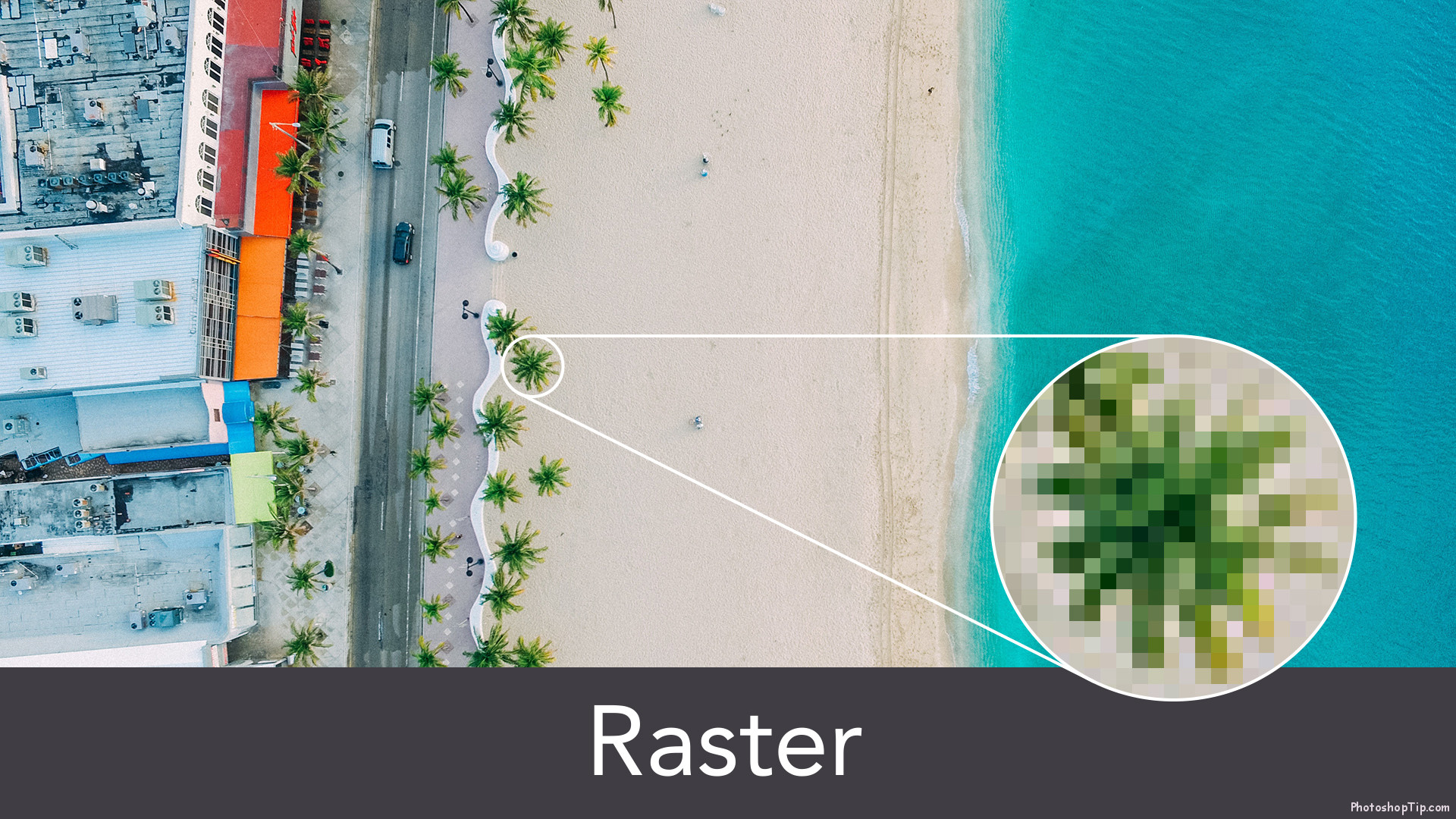 difference between raster and vector